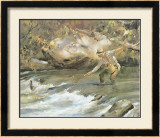 Trout Stream Print by James M. Sessions