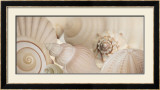 Shells I Posters by Jan Lens