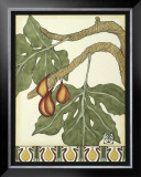 Arts and Crafts Figs Print by Jennifer Goldberger
