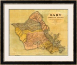 Oahu, Hawaiian Islands, c.1899 Framed Giclee Print by T. D. Beasley