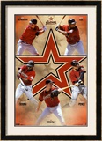 Houston Astros 2010 Poster