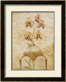 Gilded Cage I Posters by Elizabeth Jardine
