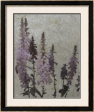 Foxgloves II Print by Chariklia Zarris