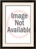 U.S. Army Air Force, Pursuit Biplane Framed Giclee Print by Jesse Davidson