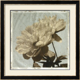 Antiqued Floral and Sky I Posters by Megan Meagher