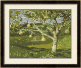 The Gourd Tree Prints by Jamie Wyeth