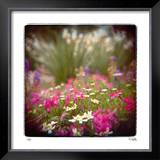 Red Wing Road Limited Edition Framed Print by Rebecca Tolk