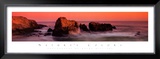 Nature's Colors, Big Sur Art by Wayne Williams
