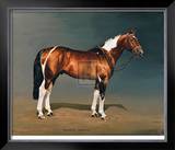 Stanhopes Diddicoy Limited Edition Framed Print by Susan Crawford