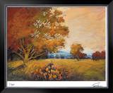 Sunset Path Limited Edition Framed Print by Michael Tienhaara