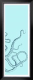 Octopus Triptych III Prints