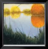 Autumn Marsh II Limited Edition Framed Print by Mark St. John