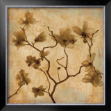 Magnolias I Posters by Caroline Kelly