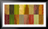 Lark Creek I Limited Edition Framed Print by John Watson