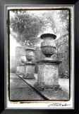 Italian Garden II Impressão emoldurada de edição limitada por Laura Denardo Italian Garden II Impressão emoldurada de edição limitada por Laura Denardo