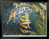 Koi III Limited Edition Framed Print by Mark St. John