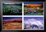 Four Seasons Posters by Galen Rowell