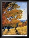 Summer's Afternoon Limited Edition Framed Print by Michael Tienhaara