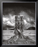 Stumped Prints by Thomas Barbey