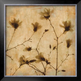 Magnolias II Prints by Caroline Kelly