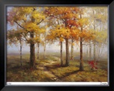Sunlit Steps Limited Edition Framed Print by Stephen Douglas