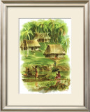 Fiji Framed Giclee Print by Louis Macouillard
