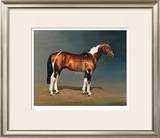 Stanhopes Diddicoy Limited Edition Framed Print by Susan Crawford