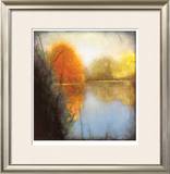 Autumn Marsh I Limited Edition Framed Print by Mark St. John