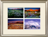 Four Seasons Prints by Galen Rowell