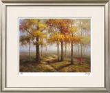 Sunlit Steps Limited Edition Framed Print by Stephen Douglas