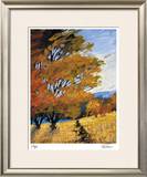 Summer's Afternoon Limited Edition Framed Print by Michael Tienhaara