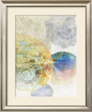 Shell Suite III Prints by Robert Mertens