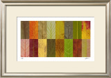 Lark Creek II Limited Edition Framed Print by John Watson
