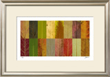 Lark Creek I Limited Edition Framed Print by John Watson