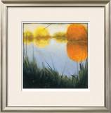 Autumn Marsh II Limited Edition Framed Print by Mark St. John