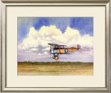 Sop with Pup Framed Giclee Print by Douglas Castleman