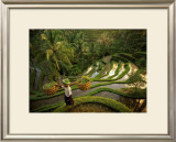 Riziere, Bali Prints by Diagentur 