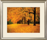 Gold of Autumn West Poster by M. Ellen Cocose