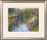 Spring Reflections II Limited Edition Framed Print by Carol Buettner