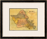 Oahu, Hawaiian Islands, c.1899 Framed Giclee Print by T. D. Beasley