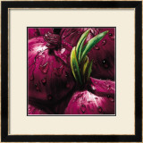 Onions Art by Alma'ch 