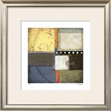 Evolution II Limited Edition Framed Print by Susan Hayes