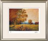 Sunset Path Limited Edition Framed Print by Michael Tienhaara