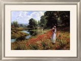 Flowers of the Field Prints by Ernest Walbourn