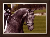 Competition Time Framed Giclee Print by Sara Stafford