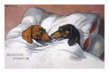 Dachshunds in Bed a Marriage of Love Giclee Print