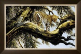 Leopard Sentry Posters by Spencer Hodge