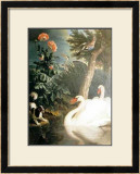 Cygnes Prints by Alexandre-Francois Desportes