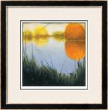 Autumn Marsh II Limited Edition Framed Print by Mark St. John