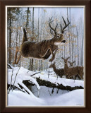 Leaping Deer Posters by Robert Travers